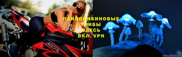 стаф Верхнеуральск