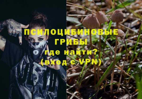 гидра Верея
