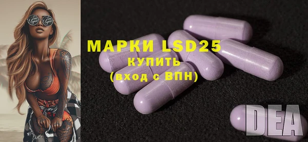 гидра Верея