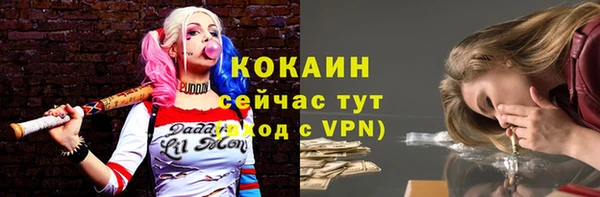гидра Верея